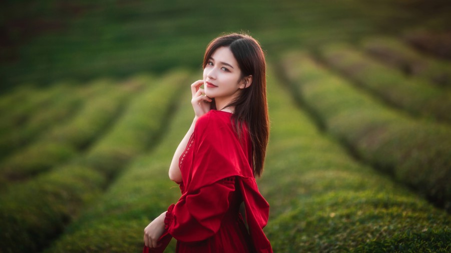 pXCSEOseo网站排名优化公司如何助力您的网站在搜索引擎中脱颖而出p
