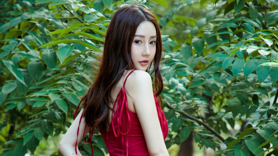 pXCSEO政和效果好的seo排名策略与实施指南p